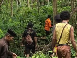 Perempuan yang Hilang di Hutan Labunia Belum Ditemukan, Pencarian Ditutup
