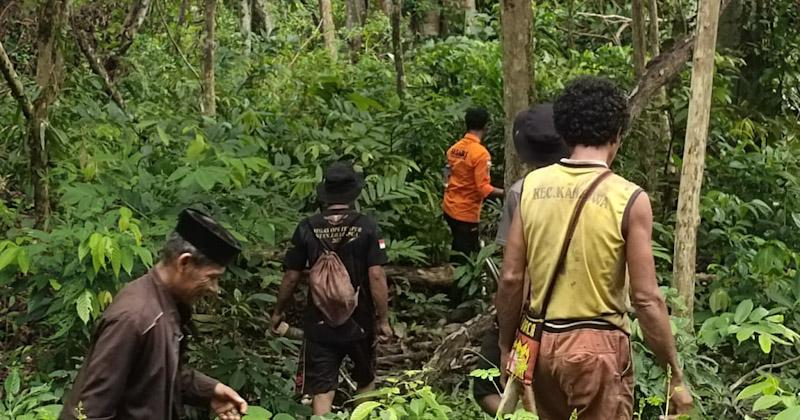 Perempuan yang Hilang di Hutan Labunia Belum Ditemukan, Pencarian Ditutup 1 Perempuan yang Hilang di Hutan Labunia Belum Ditemukan, Pencarian Ditutup
