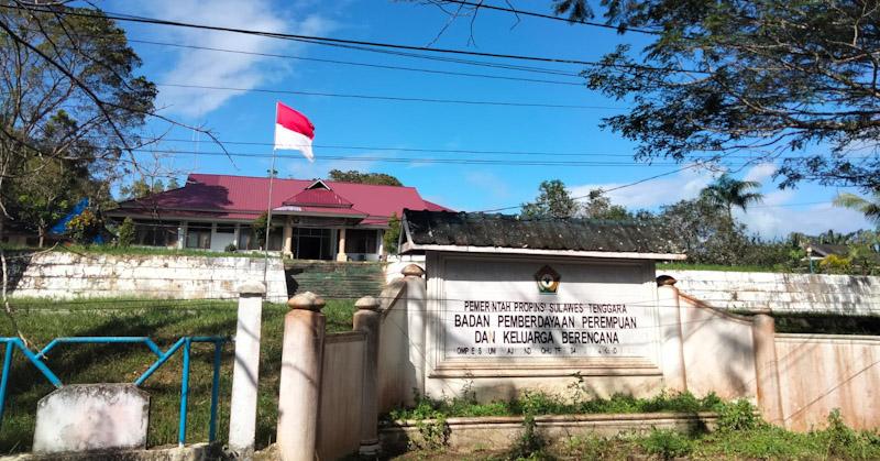 192 Kasus Kekerasan pada Perempuan dan Anak Terjadi di Sultra, Baubau Terbanyak