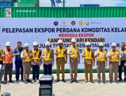 Sultra Ekspor Langsung 646 Ton Kelapa Bulat ke Tiongkok dari Kendari