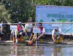 Lestarikan Ekosistem Pesisir, Pertamina Patra Niaga Sulawesi Melalui Integrated Terminal Makassar Tanam Mangrove di Kelurahan Parangloe