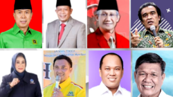 Calon Gubernur Sulawesi Tenggara 2024