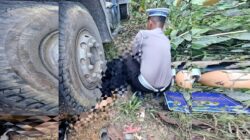 Dua Wanita dan Balita Dilindas Truk Tronton di Jalan Poros Kendari-Andoolo