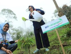Berbagai Program BRI untuk Mendukung Net Zero Emission pada 2050