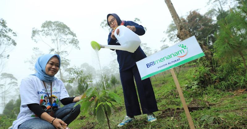 Berbagai Program BRI untuk Mendukung Net Zero Emission pada 2050 1 Berbagai Program BRI untuk Mendukung Net Zero Emission pada 2050