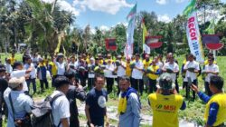 Pemda Koltim Ajak Masyarakat Manfaatkan Lahan Pekarangan untuk Pertanian