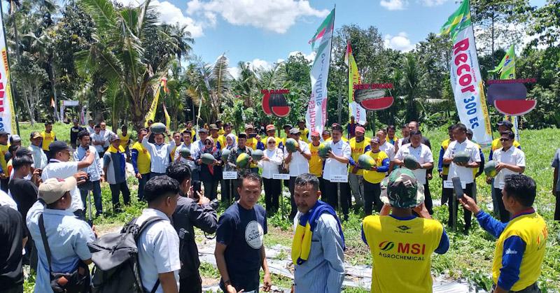 Pemda Koltim Ajak Masyarakat Manfaatkan Lahan Pekarangan untuk Pertanian 1 Pemda Koltim Ajak Masyarakat Manfaatkan Lahan Pekarangan untuk Pertanian