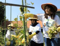 Dukung Pemberdayaan Wanita dan Keseimbangan Lingkungan, BRI Dapatkan Penghargaan CSR untuk Negeri dalam Ajang Merdeka Award 2024