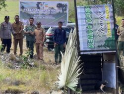 Balai TNRAW Lepasliarkan Burung Maleo di Blok Hutan Mempaho