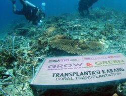 Mewujudkan Keuangan Berkelanjutan, BRI Perkuat Implementasi ESG