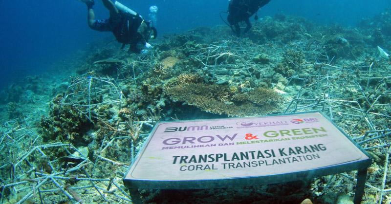 Mewujudkan Keuangan Berkelanjutan, BRI Perkuat Implementasi ESG