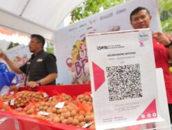 Melalui Pemberdayaan, BRI Angkat Potensi Klaster Buah Kelengkeng di Tuban
