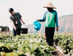 Dirut BRI Sunarso Ungkap Ketahanan Pangan Jadi Kunci Indonesia Keluar dari Middle Income Trap