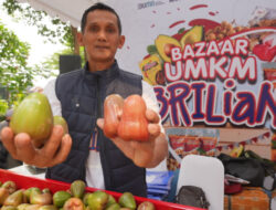 Kisah Pengusaha Jambu di Kudus, Sukses Kembangkan Usaha Berkat Pemberdayaan BRI