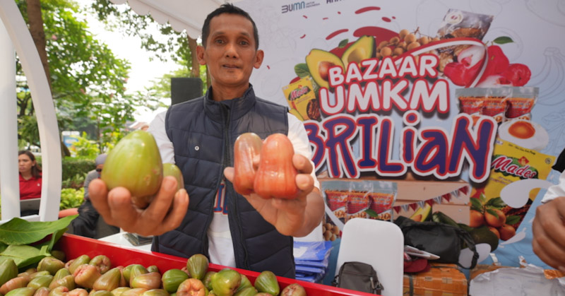 Kisah Pengusaha Jambu di Kudus, Sukses Kembangkan Usaha Berkat Pemberdayaan BRI