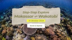 Mulai 31 Oktober, Super Air Jet Terbang Langsung ke Wakatobi dari Makassar 4 Mulai 31 Oktober, Super Air Jet Terbang Langsung ke Wakatobi dari Makassar