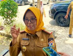 PPPK Diberi Kesempatan Tes CPNS, di Sultra Hanya Ada 60 Orang Pendaftar