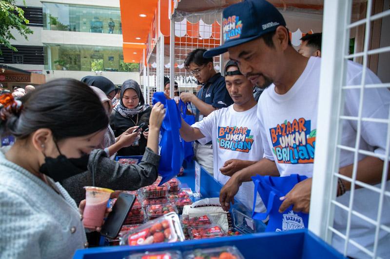 Mengecap Manisnya Bisnis Stroberi dengan Pemberdayaan BRI 1 Mengecap Manisnya Bisnis Stroberi dengan Pemberdayaan BRI