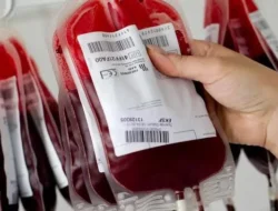 Sekda Sebut Sultra Butuh 55 Ribu Kantong Darah Tiap Tahun