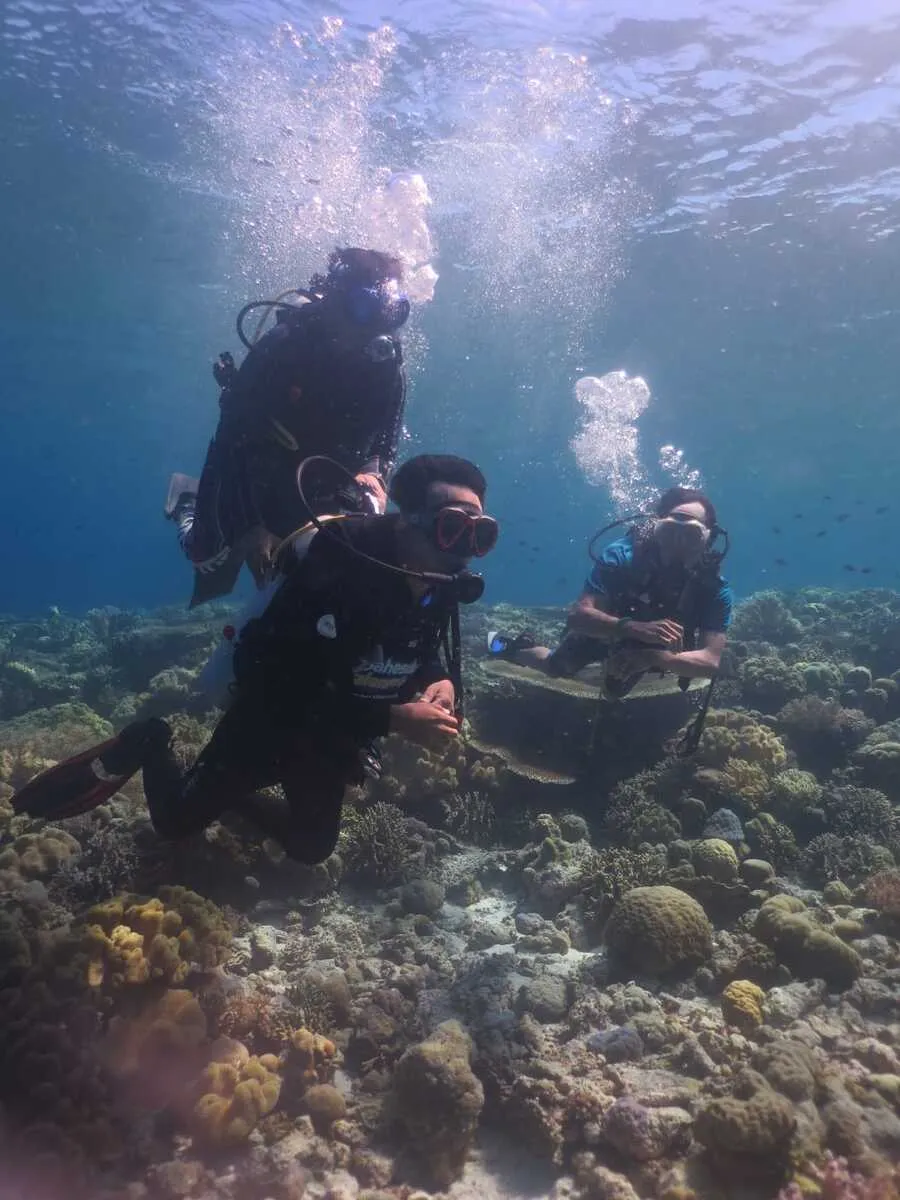 Keindahan Coral Garden Wakatobi: Menyelami Terumbu Karang yang Asri di Pantai Wambuliga 5 Keindahan Coral Garden Wakatobi: Menyelami Terumbu Karang yang Asri di Pantai Wambuliga