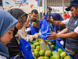 Diberdayakan BRI, Petani Mangga di Bondowoso Mampu Perluas Lahan dan Tingkatkan Taraf Hidup