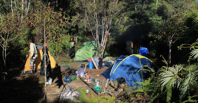 Menaklukkan Puncak Gunung Mekongga 5 Menaklukkan Puncak Gunung Mekongga