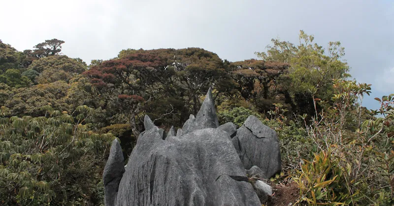 Di Balik Kabut Gunung Mekongga, Hidup Legenda Garuda dan Seorang Pemuda Pemberani 3 Menaklukkan Puncak Gunung Mekongga