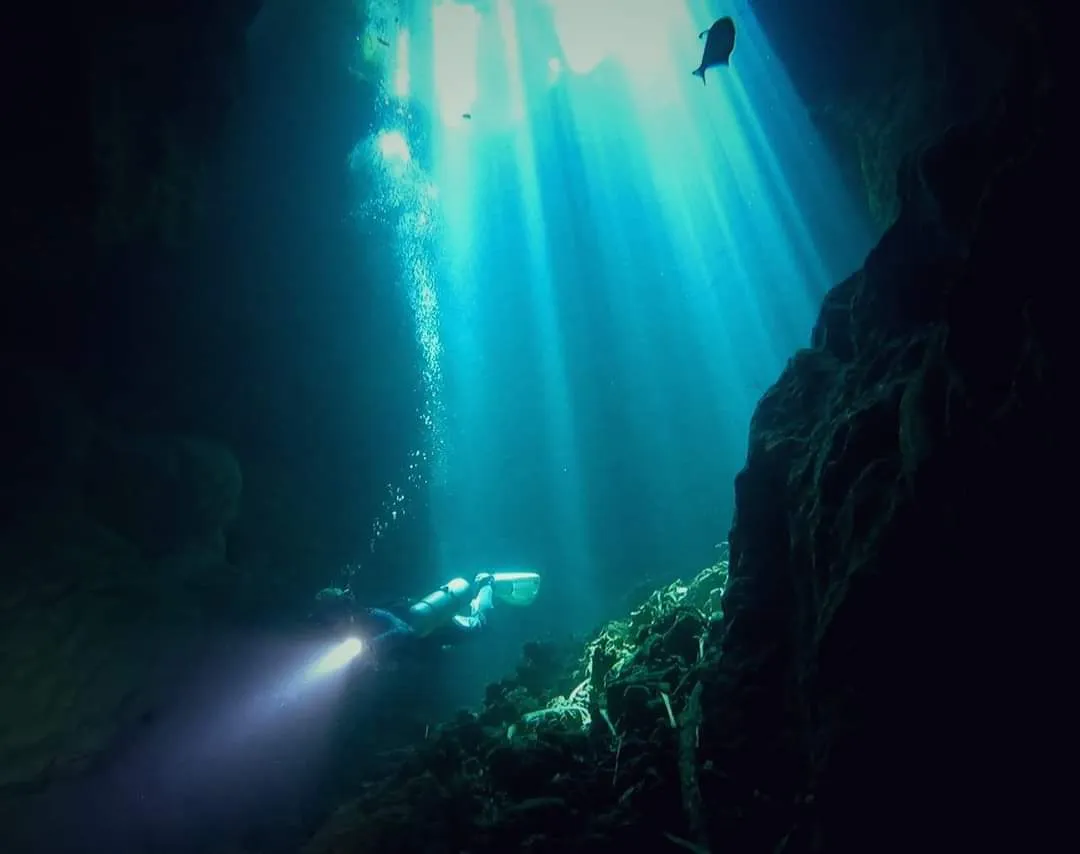 Menjelajah Dasar Laut di Negeri Seribu Gua Buton Tengah 4 Menjelajah Dasar Laut di Negeri Seribu Gua Buton Tengah