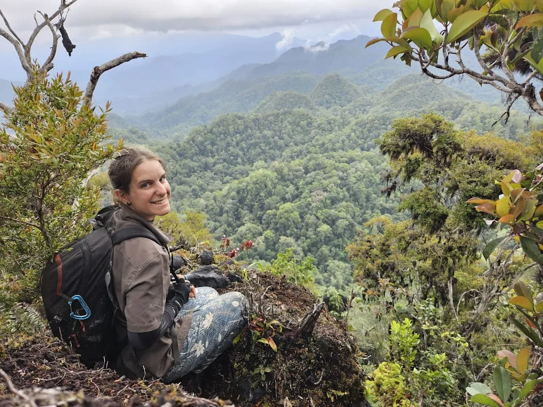 Di Balik Keheningan Karst Matarombeo: Kisah Ekspedisi dan Potensi Geowisata