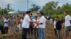 Darwin-Ali Basa Beri Bantuan Pembangunan Masjid saat Kampanye Dialogis di Desa Sidamangura 13 Darwin-Ali Basa Beri Bantuan Pembangunan Masjid saat Kampanye Dialogis di Desa Sidamangura