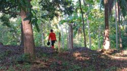 Pria 60 Tahun di Soropia Konawe Dilaporkan Hilang secara Misterius 12 Pria 60 Tahun di Soropia Konawe Dilaporkan Hilang secara Misterius