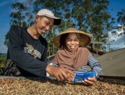 Kualitas Aset Semakin Baik, Intip Strategi BRI Turunkan Rasio Kredit Bermasalah