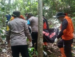 Warga Soropia yang Dilaporkan Hilang Misterius Ditemukan Meninggal di Atas Pohon