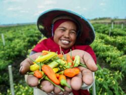 Langkah Nyata BRI Menuju Ekonomi Hijau, Portofolio Pembiayaan Berkelanjutan Capai Rp764,8 Triliun