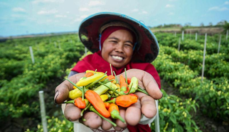 Langkah Nyata BRI Menuju Ekonomi Hijau, Portofolio Pembiayaan Berkelanjutan Capai Rp764,8 Triliun 1 Langkah Nyata BRI Menuju Ekonomi Hijau, Portofolio Pembiayaan Berkelanjutan Capai Rp764,8 Triliun
