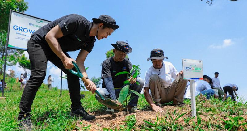 Pulihkan Hutan Bekas Tambang, Aksi Nyata Kelompok Tani Selamatkan Lingkungan Bersama BRI Menanam–Grow & Green 1 Pulihkan Hutan Bekas Tambang, Aksi Nyata Kelompok Tani Selamatkan Lingkungan Bersama BRI Menanam–Grow & Green