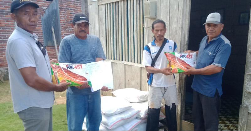 Distan Mubar Mulai Bagikan Benih Jagung Varietas 457 ke Seluruh Desa dan Kelurahan