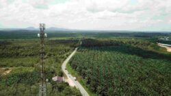 Perkuat Jaringan 4G di Kendari, Telkomsel dan ZTE Terapkan Teknologi Terbaru 12 Perkuat Jaringan 4G di Kendari, Telkomsel dan ZTE Terapkan Teknologi Terbaru