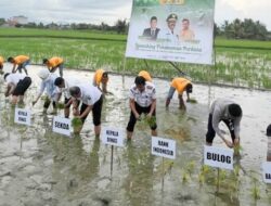 Dukung Swasembada Pangan, BPR Bahteramas Konawe Perkuat Akses Modal untuk Petani