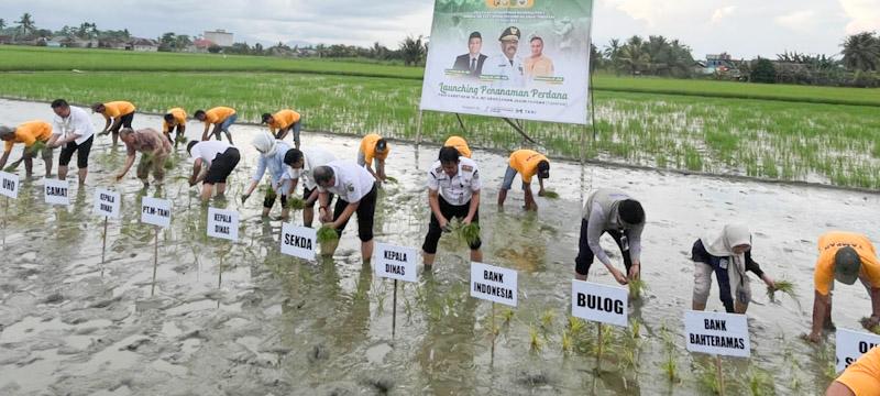 Dukung Swasembada Pangan, BPR Bahteramas Konawe Perkuat Akses Modal untuk Petani