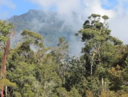 Di Balik Kabut Gunung Mekongga, Hidup Legenda Garuda dan Seorang Pemuda Pemberani