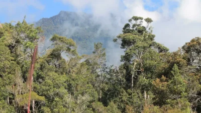 Di Balik Kabut Gunung Mekongga, Hidup Legenda Garuda dan Seorang Pemuda Pemberani