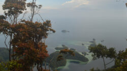 Pesona Labengki dari Sudut Lain: Puncak Karst hingga Tebing Mahitala