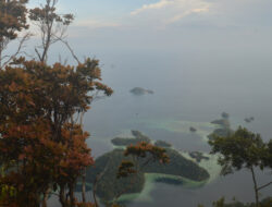 Pesona Labengki dari Sudut Lain: Puncak Karst hingga Tebing Mahitala