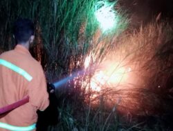 Kebakaran Lahan di Poasia Kendari, Dua Regu Pemadam Dikerahkan