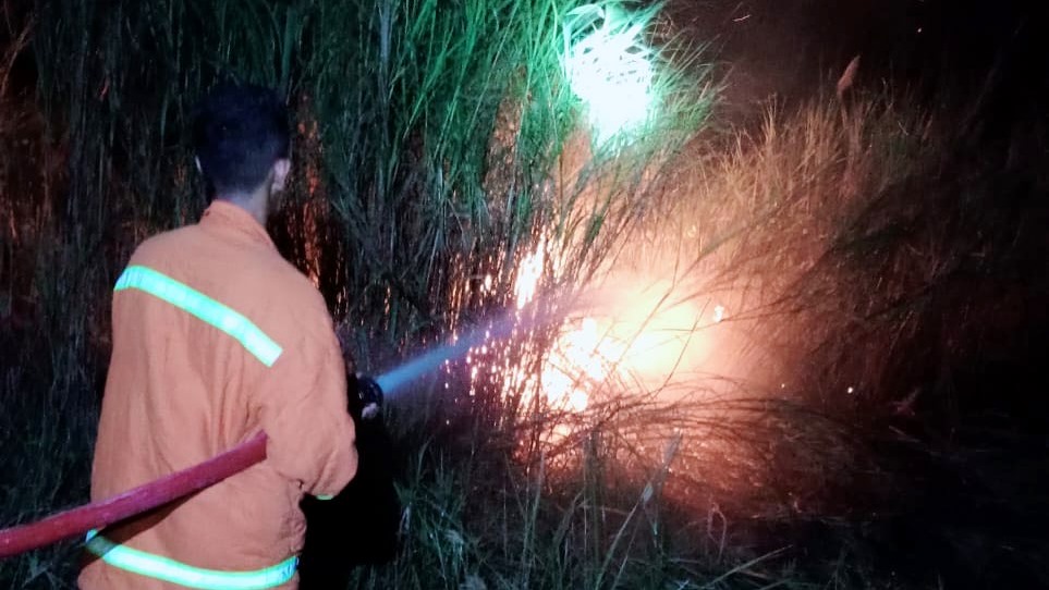 Kebakaran Lahan di Poasia Kendari, Dua Regu Pemadam Dikerahkan 1 Kebakaran Lahan di Poasia Kendari, Dua Regu Pemadam Dikerahkan