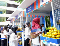 Kelompok Petani Jeruk di Curup Bengkulu Jangkau Pasar Lebih Luas Berkat Pemberdayaan BRI