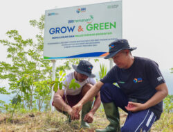 Peringati Hari Menanam Pohon, BRI Tanam 5.000 Bibit Pohon Produktif di Desa Kutuh Bali