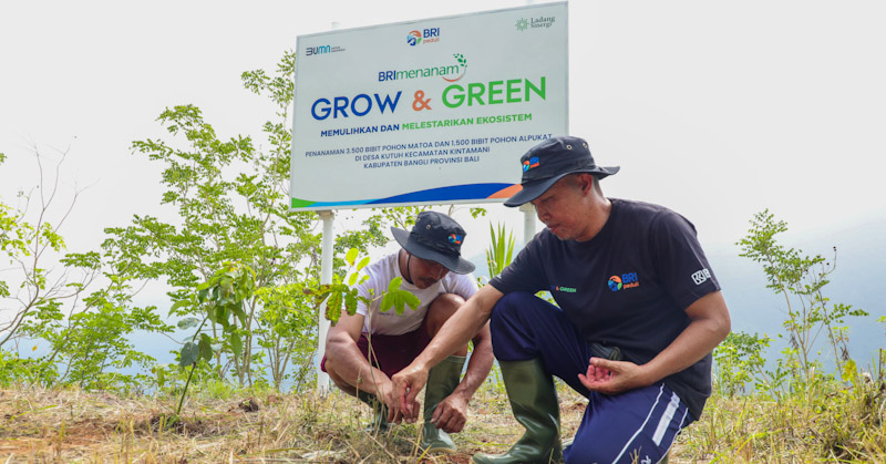 Peringati Hari Menanam Pohon, BRI Tanam 5.000 Bibit Pohon Produktif di Desa Kutuh Bali