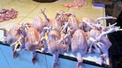 Update Harga Daging Sapi dan Ayam Potong di Tiga Pasar Kendari Jelang Natal dan Tahun Baru 8 Update Harga Daging Sapi dan Ayam Potong di Tiga Pasar Kendari Jelang Natal dan Tahun Baru